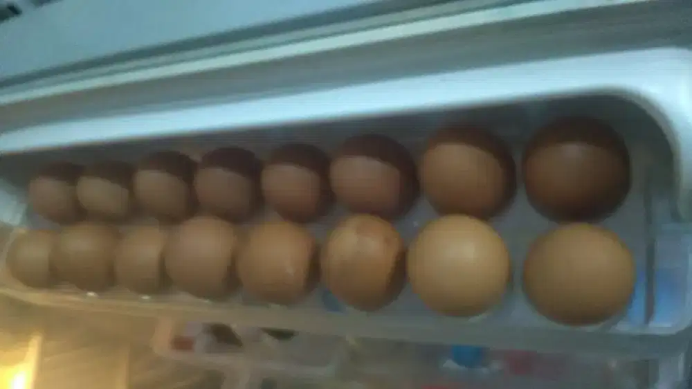 Dicari Mbak Serabutan Nginep