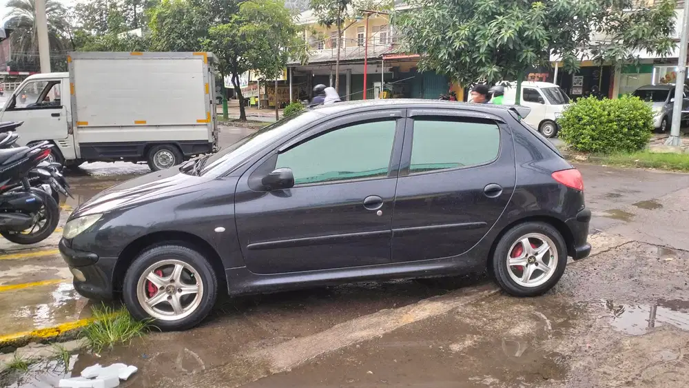 Peugeot 206 2004 Bensin