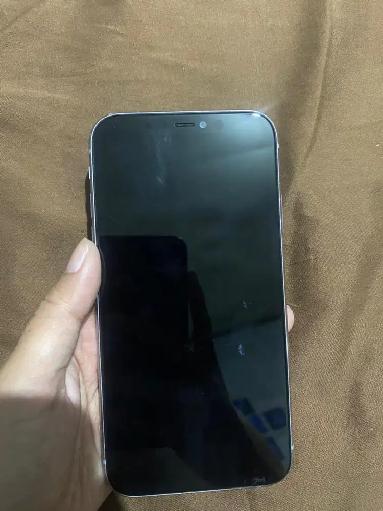 Iphone 11 (warna ungu)