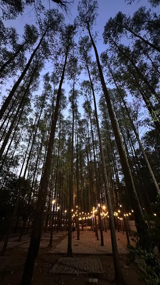 Lowongan untuk terapis wanita