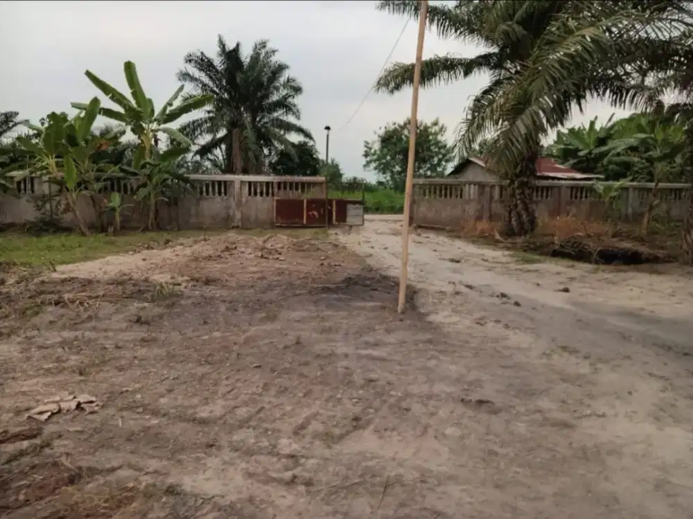 Dijual Tanah di Desa Aras Kabu