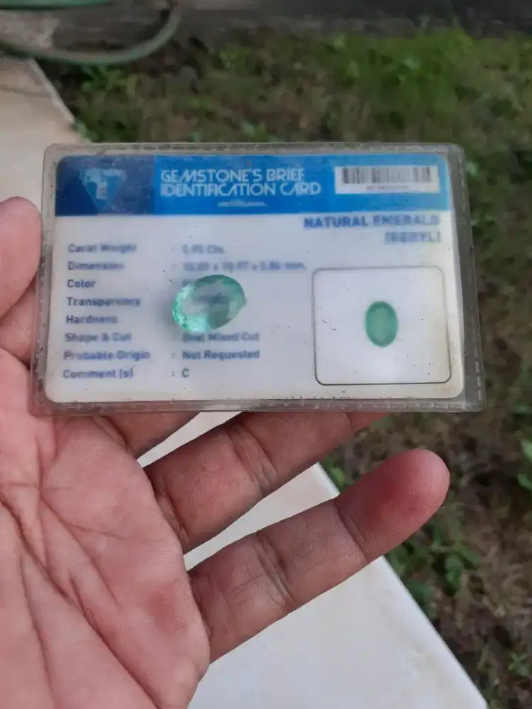 Zamrud colombia memo lab