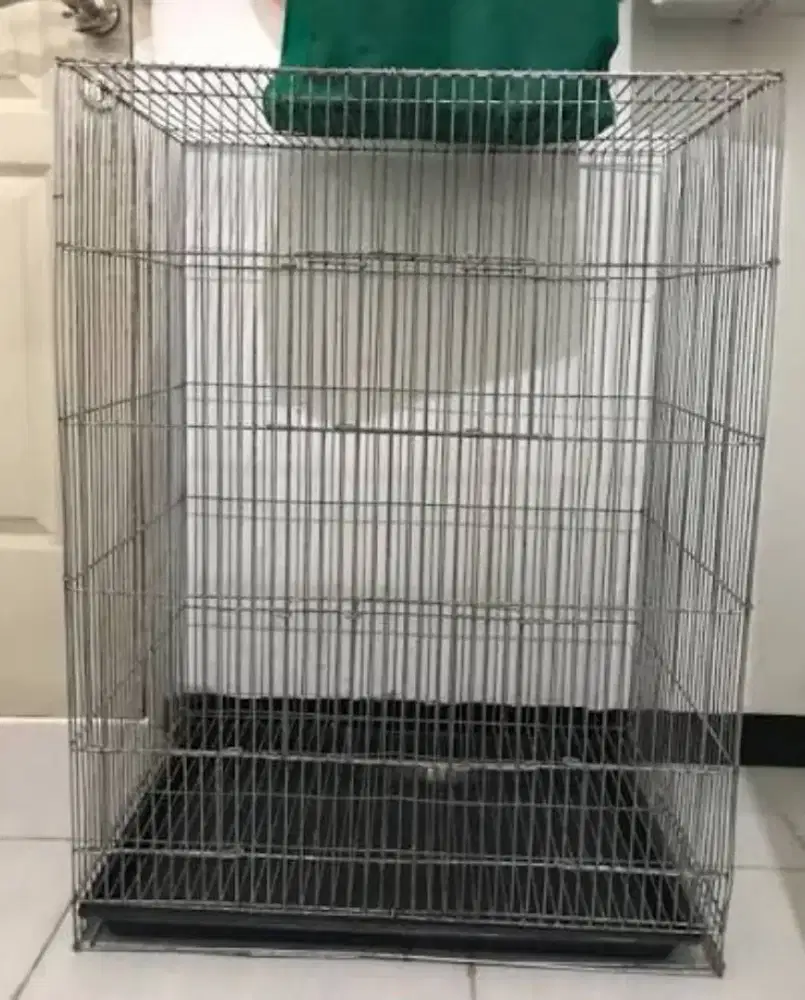 kandang galvanis, tas travel sugar Glider, pasir alas kandang