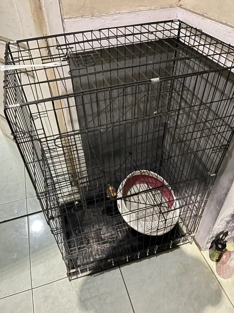 Kandang kucing ukuran L besar bisa buat 3 kucing dewasa