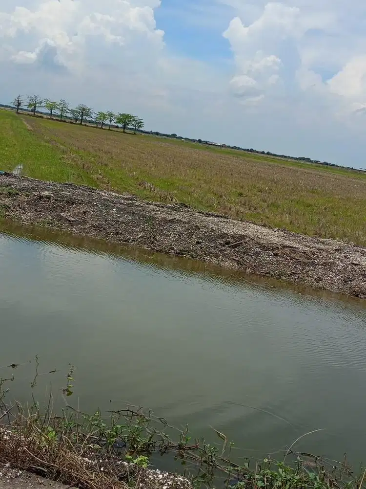 SAWAH PRODUKTIF 2 BAU