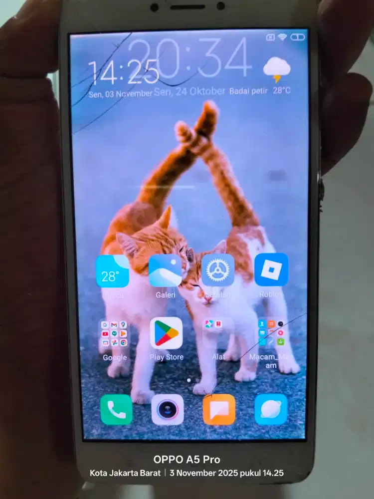 XIAOMI REDMI NOTE 4X + DUS