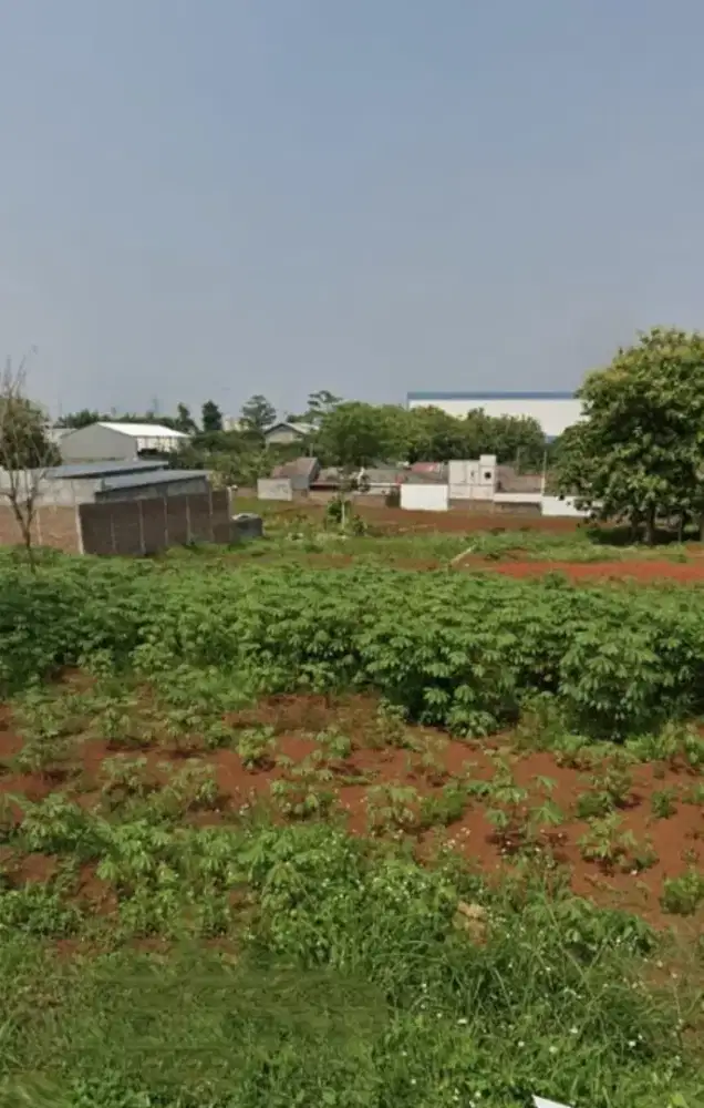 Tanah Dawung Ngalian  untung Suropati Semarang barat