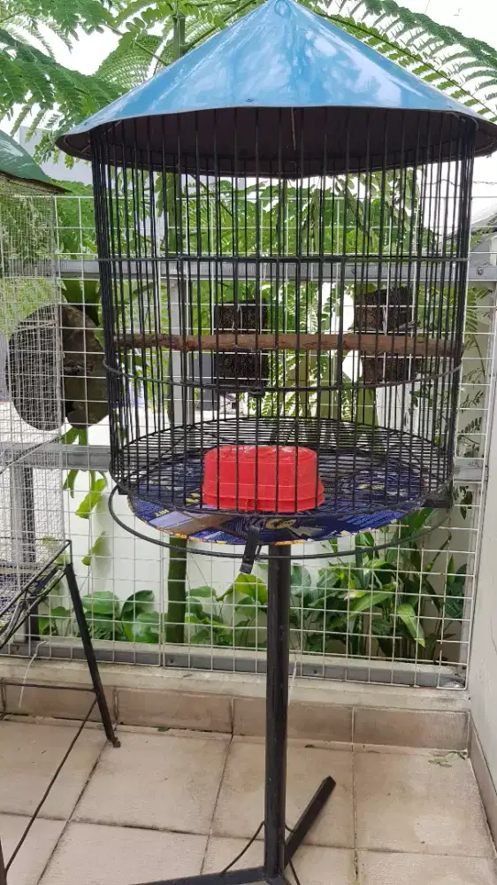 kandang burung besi
