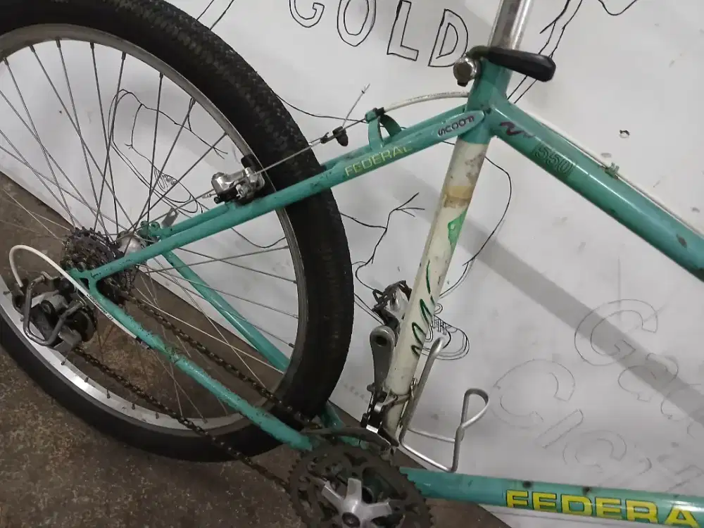 Federal Jaguar Focus