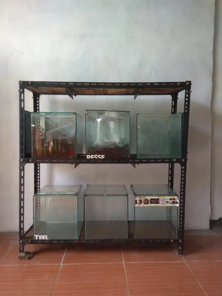 Rak dan Aquarium Ikan