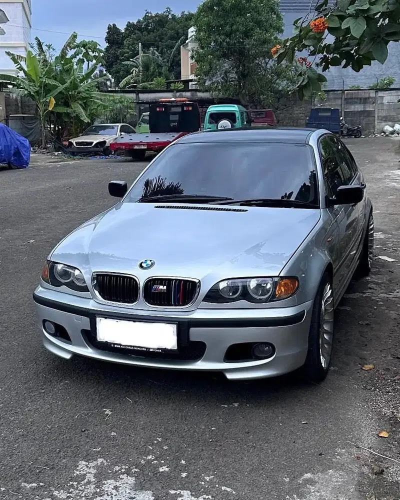 BMW E46 318i N42