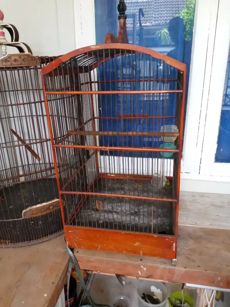 Kandang burung Bekasi Masih Cakep