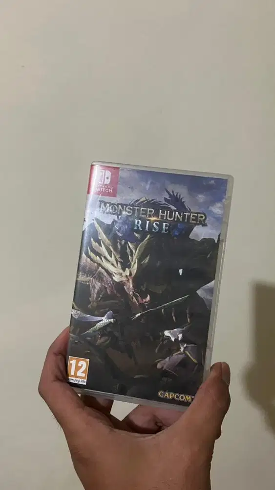 Monster Hunter Rise