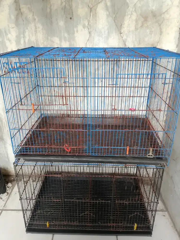 Kandang besi kotak UK 60x40