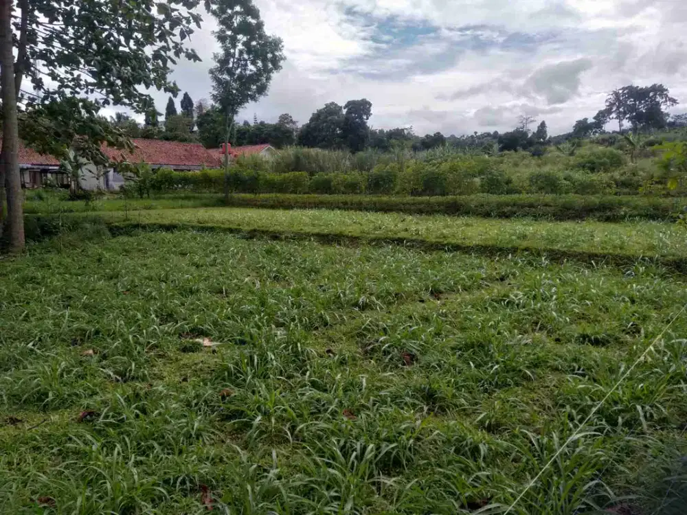 di jual lokasi strategis deket yayasan kp suka karya megamendung