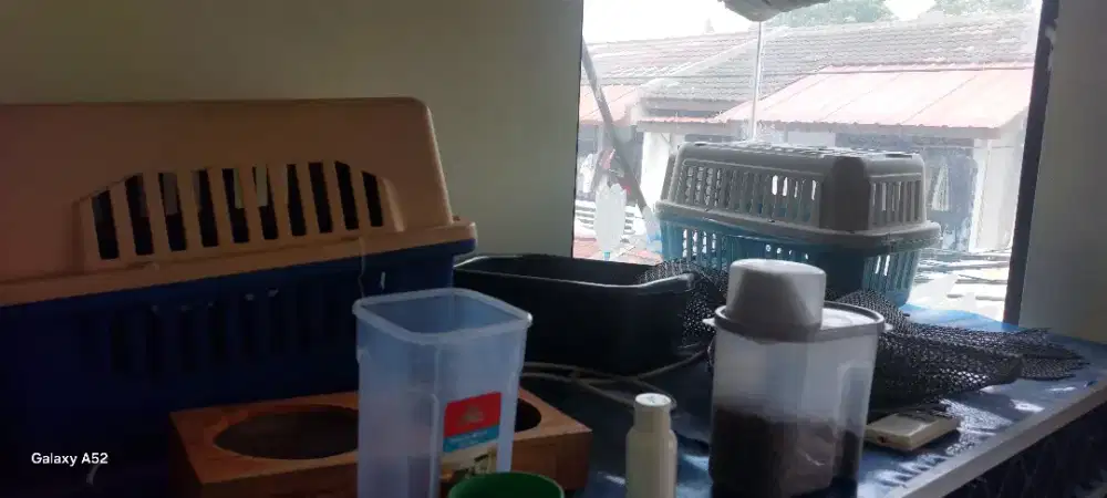 PET CARGO KANDANG KUCING