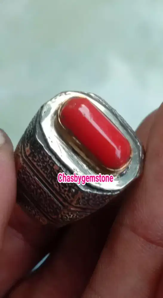 Natural batu marjan mediterania-Batu mirah marjan laut merah