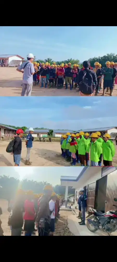 Perawatan & Panen Kebun Sawit