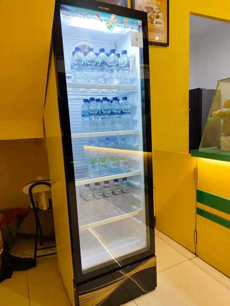 Showcase polytron scn237