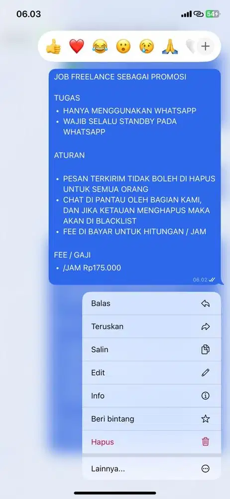 PARTNER/JOB FREELANCE