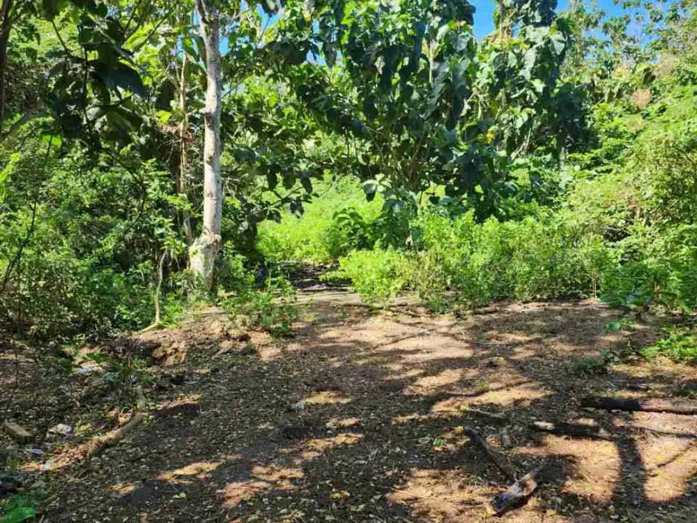 dijual tanah 50 are IDR 550 juta per are dekat Savaya pecatu badung bali