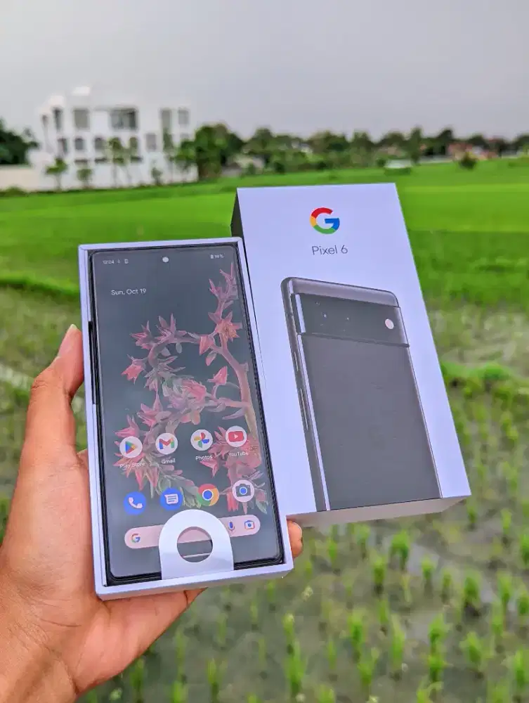 Google Pixel 6 8/128 GB