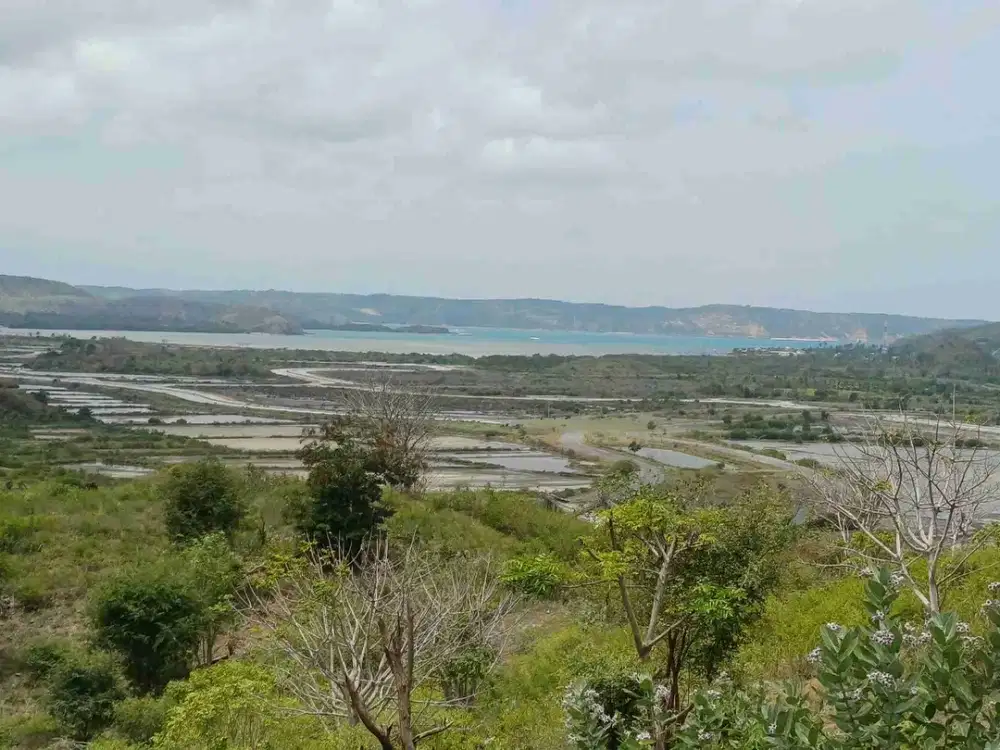 tanah di jual kuta mandalika lombok