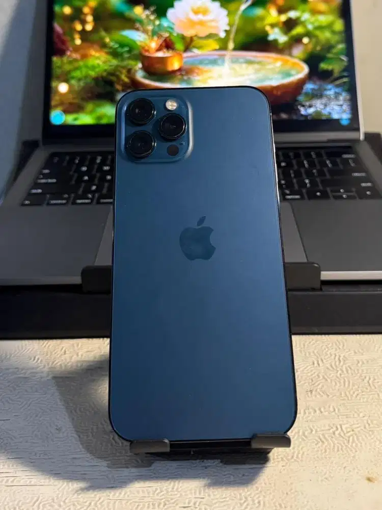 Iphone 12 promax 256 inter all operator