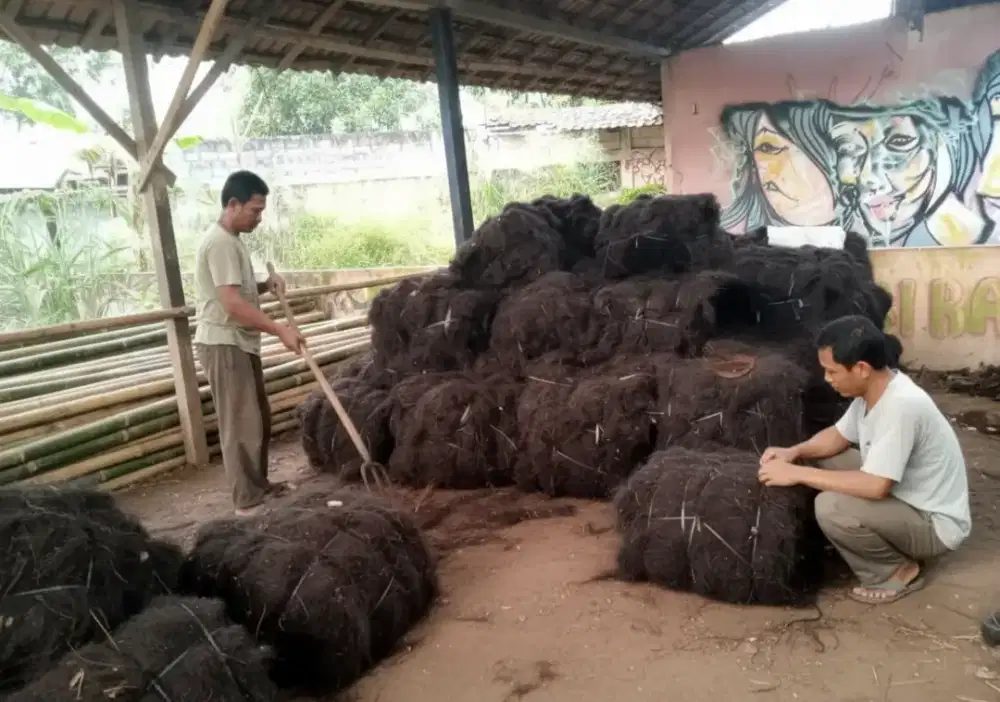 SUPLIER IJUK SIAP KIRIM KESELURUH INDONESIA