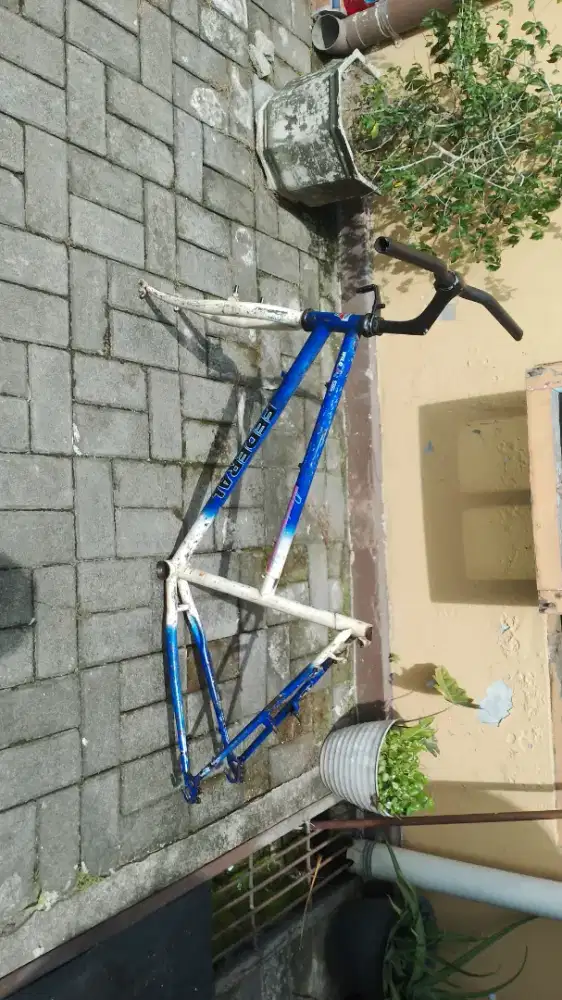 Frame sepeda federal lady