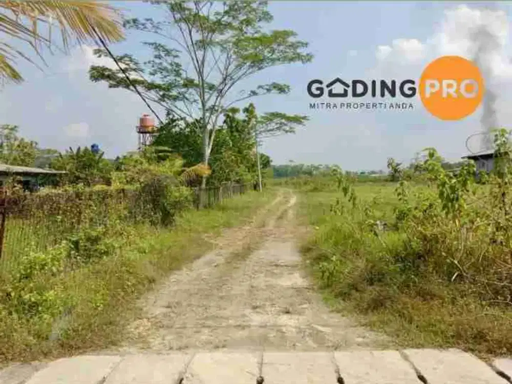 [SUPER MURAH TANAH DI BOGOR]

 dijual cepat tanah (BU)