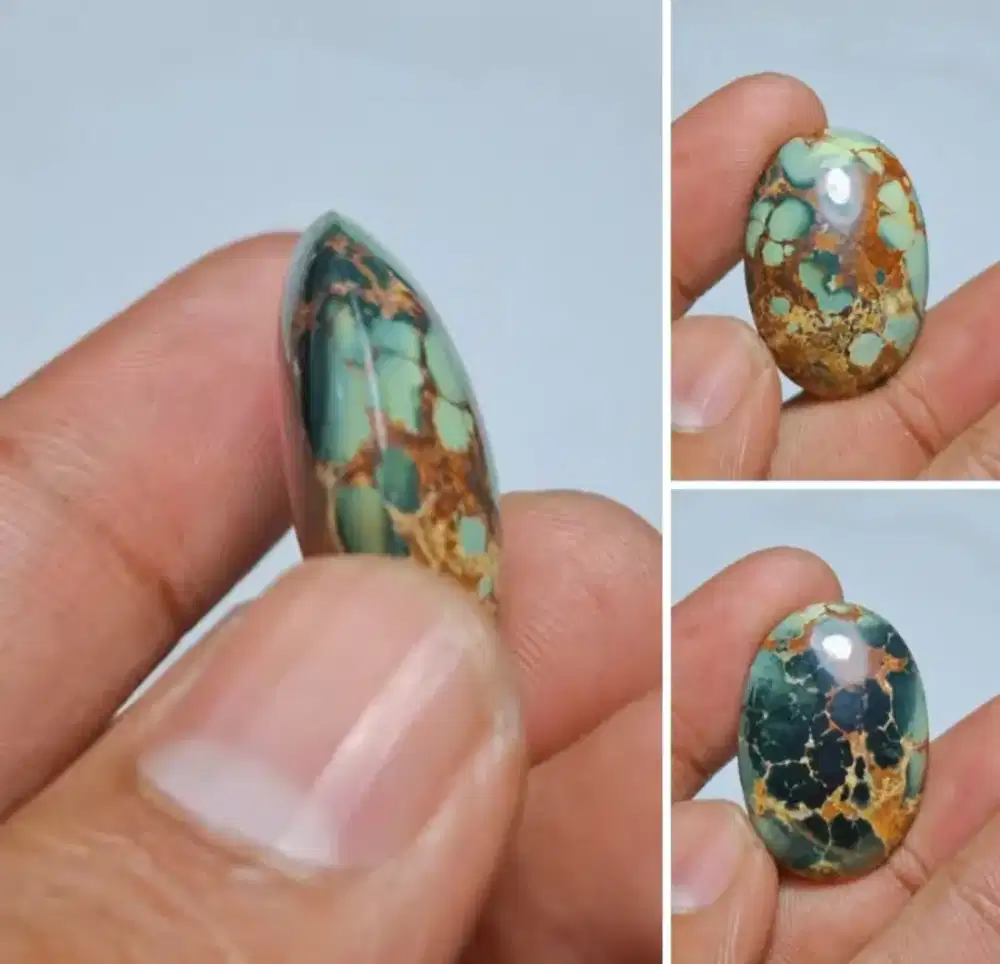 Natural pirus persia lawas