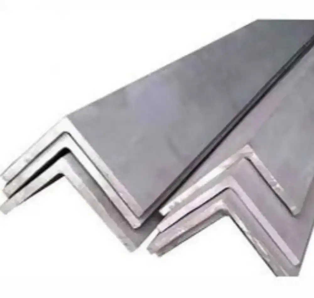 Besi Siku SS201 50x50x5 mm x 6 meter