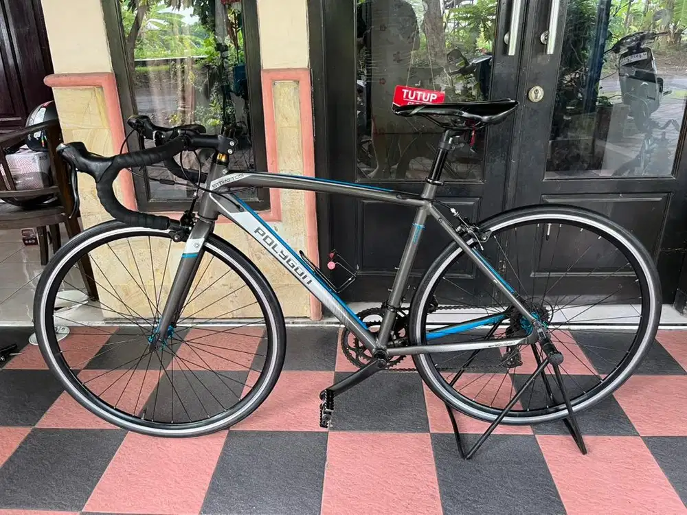 Sepeda strattos S1 Polygon