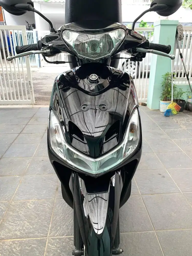 Mio garnish 2008 full paper