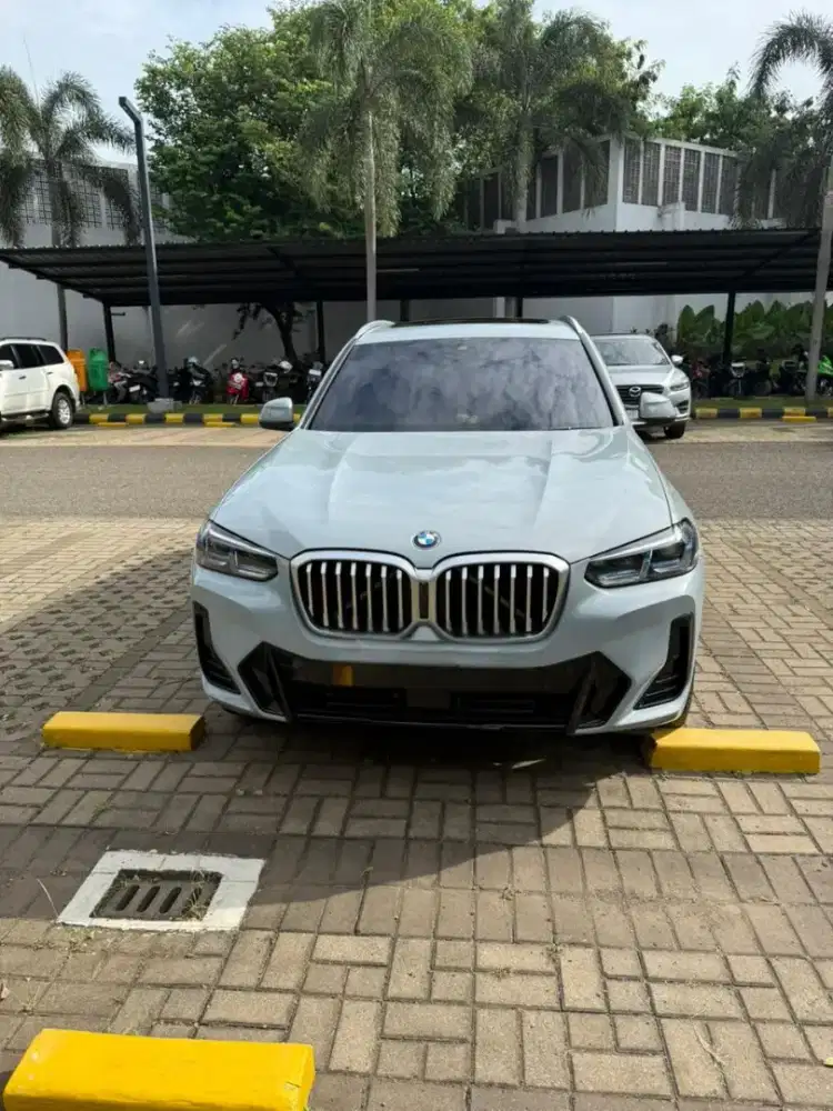 BMW X3 Brooklyn Grey NIK 24 KM 17RB