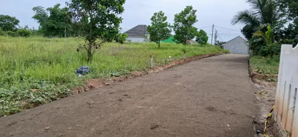 Dijual tanah di daerah tanjung barangan