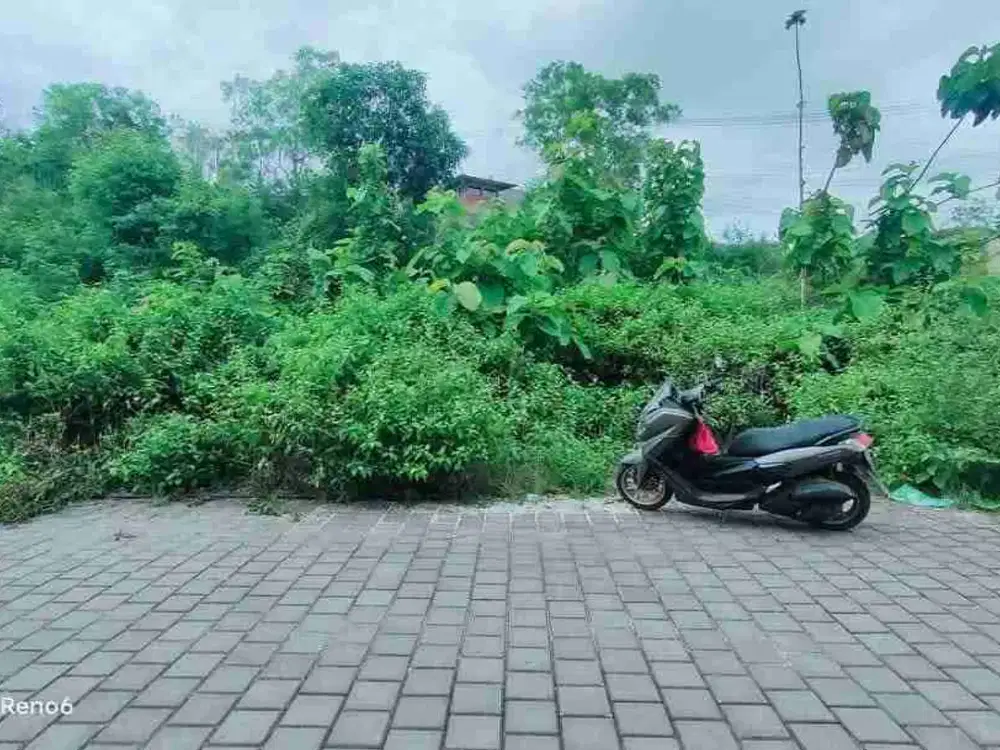 dijual tanah plot Kecil 104m² & 110m² & 111m² di jalan goa gong atas ungasan Kuta Selatan Badung Bali IDR 575 juta per are nego tipis