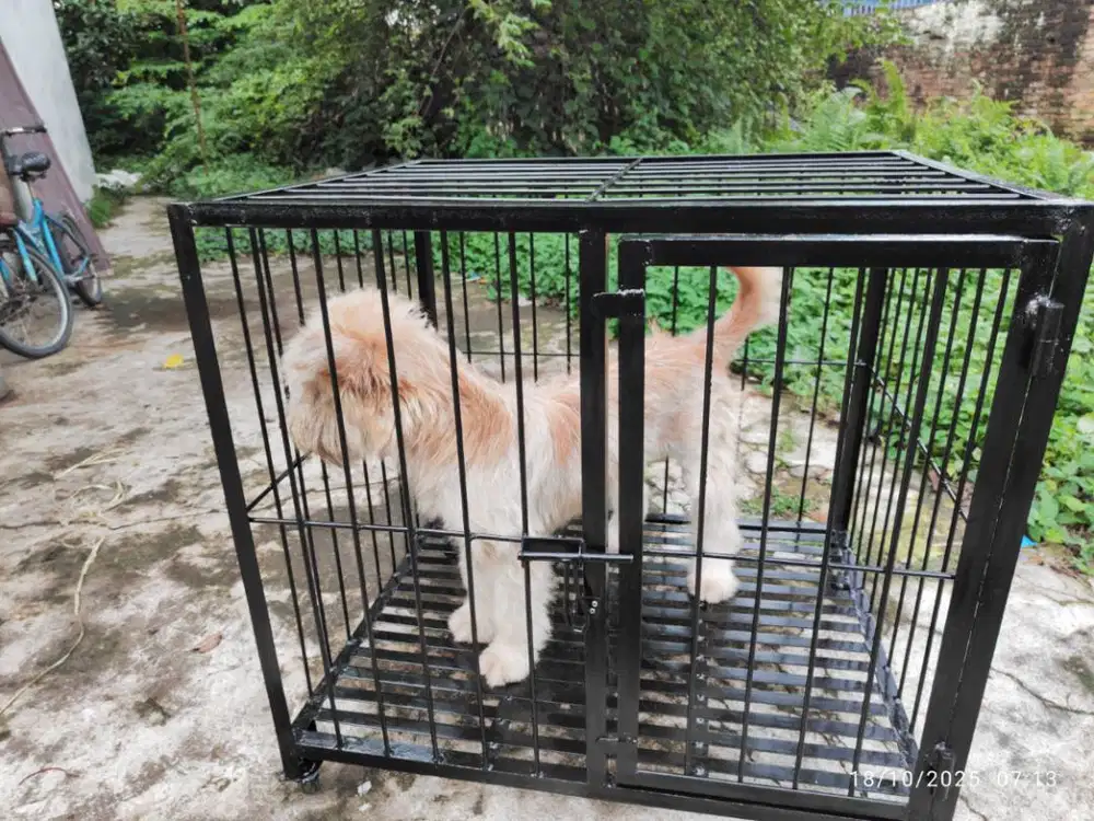 Kandang anjing ras kecil