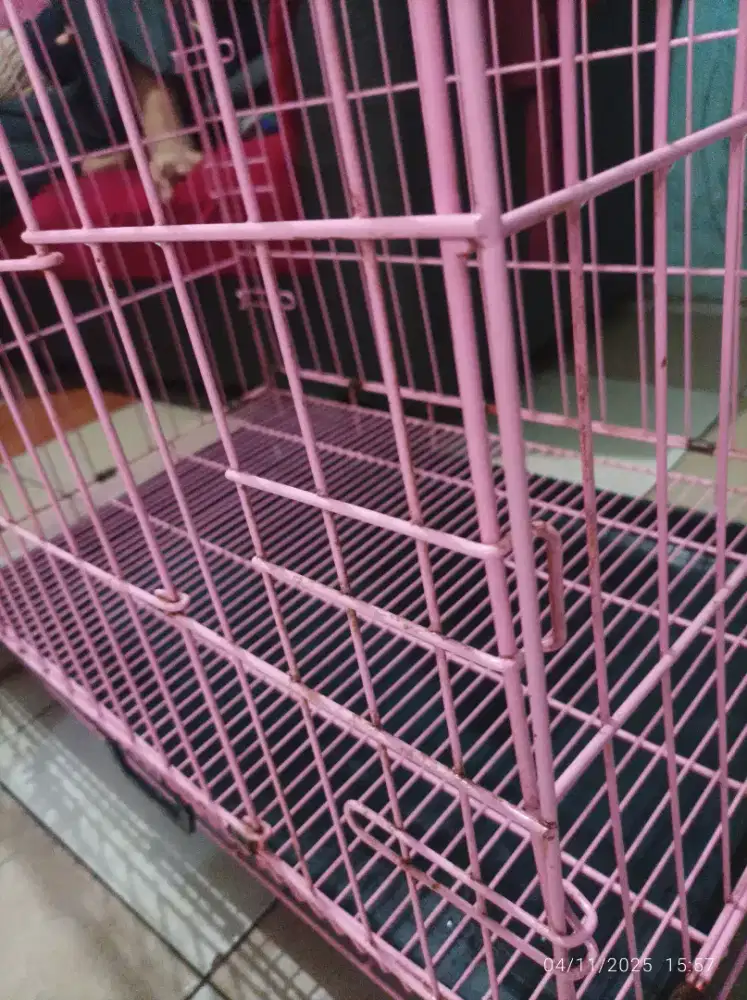 kandang kucing pink