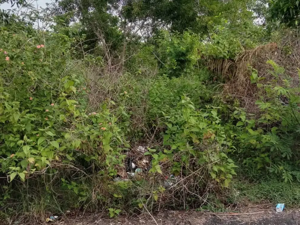 Dijual tanah lokasi.di gayang sari luas 31 ara nett 285jt per ara