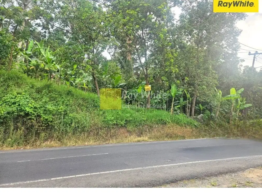 Dijual Tanah di Tanjung Karang Barat, Bandar Lampung (Kode: Mel Alf 3366)