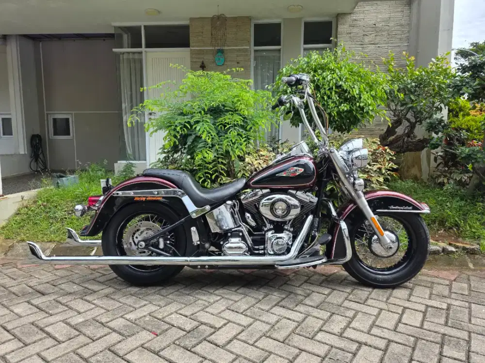 harley davidson heritage softail classic 2015