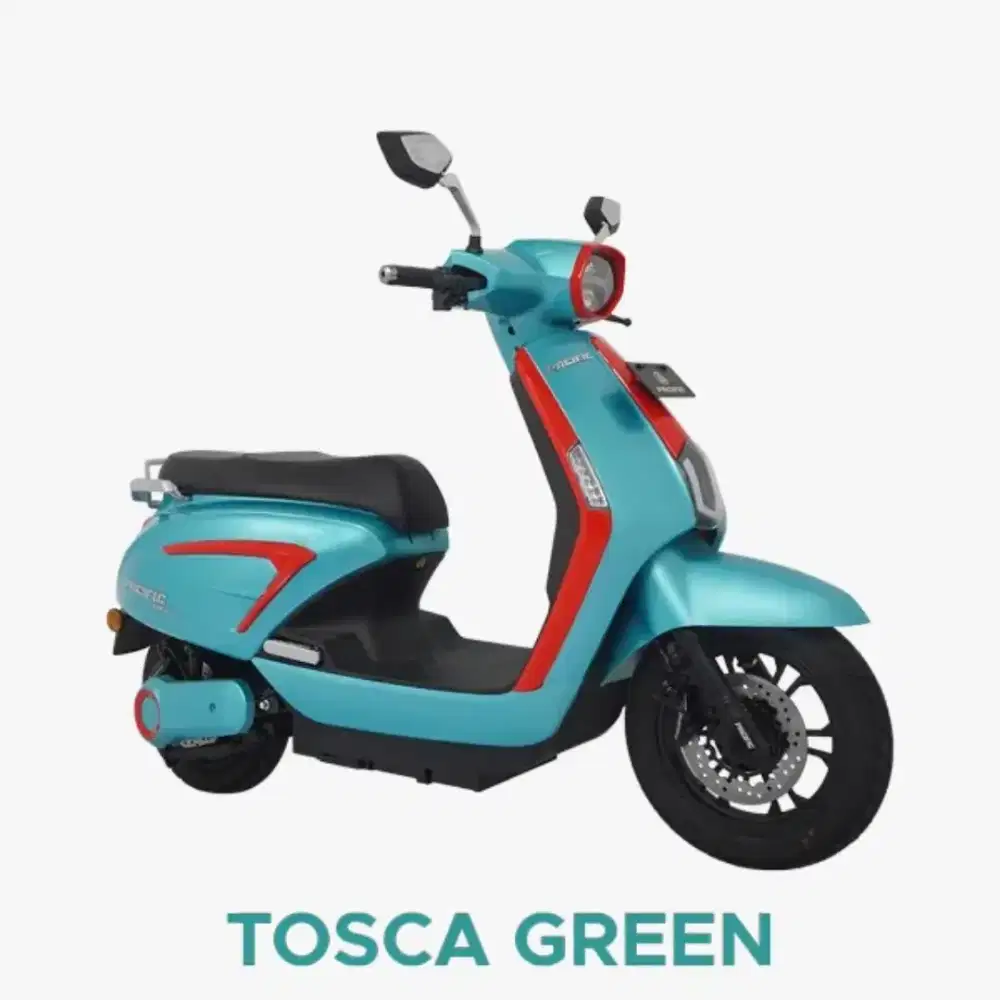 MOTOR LISTRIK PACIFIC VIRGO 1.2