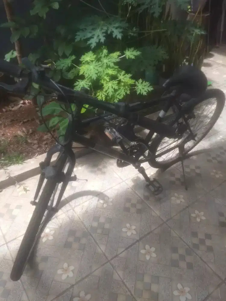 Sepeda Federal city cat 2000