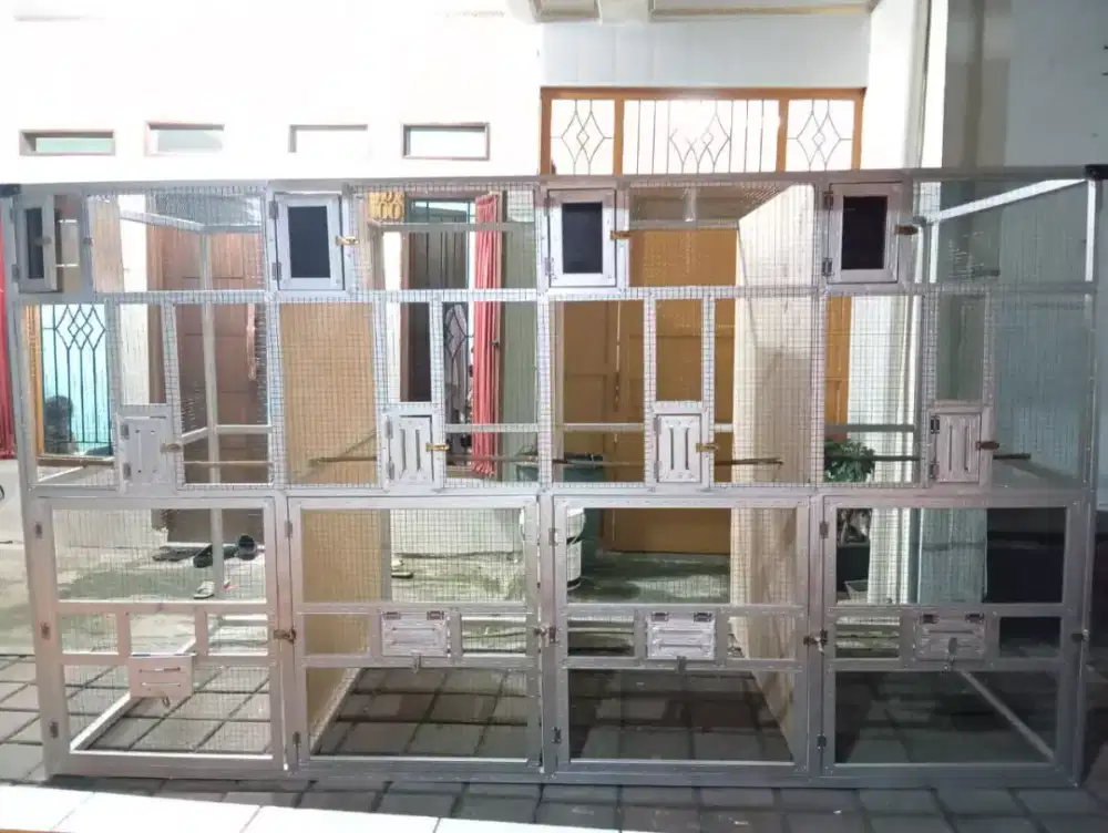 Kandang ternak murai 4 kotak dll