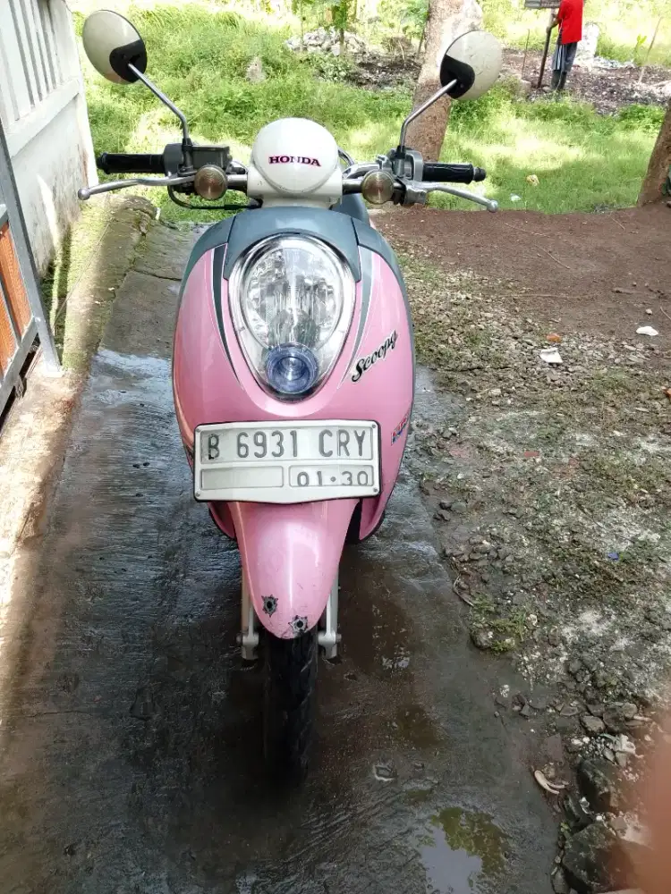 Scoopy karbu pajak hidup