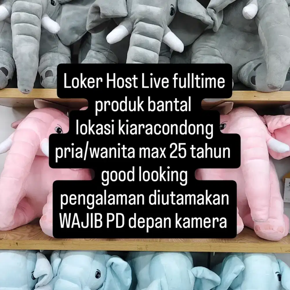 HOST LIVE FULLTIME