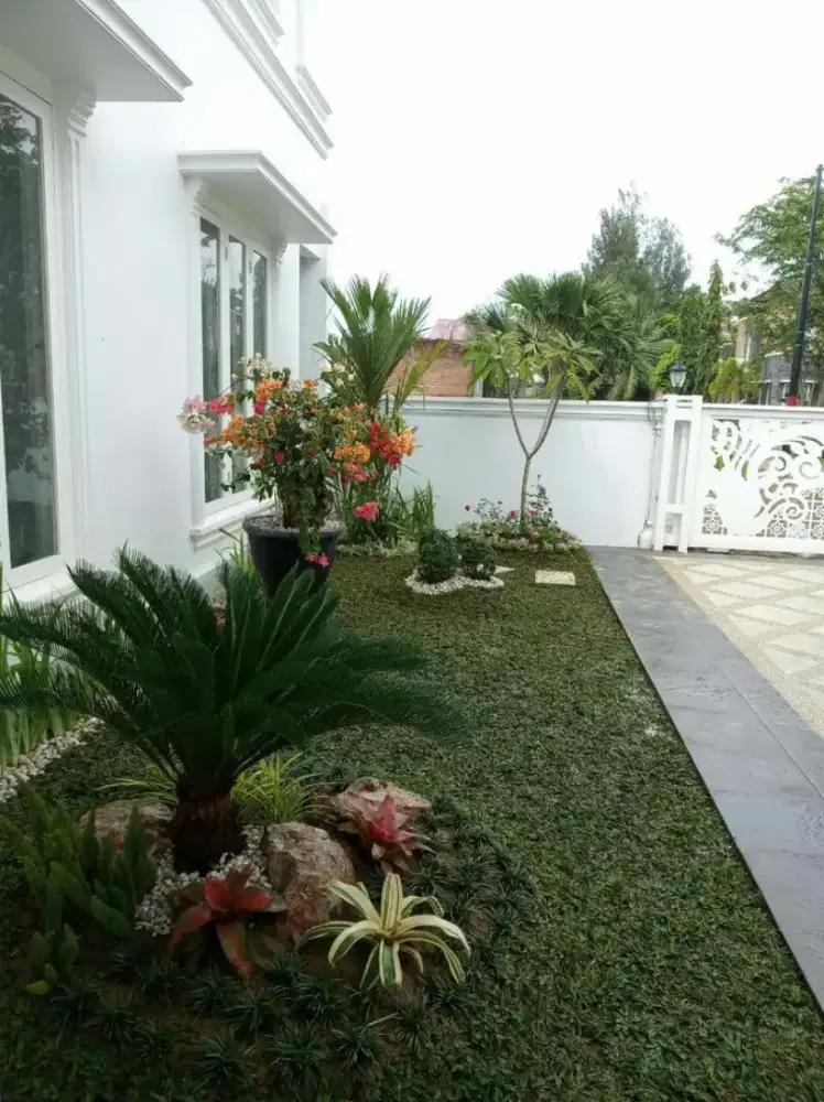 Jasa pembuatan taman kering taman vertical. Kolam relif dll ##