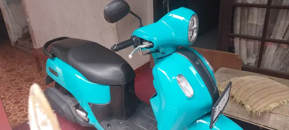 Fazio 2022 hijau toska